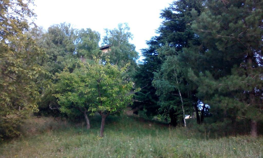 Lodging Vidmar Sremski Karlovci Rom bilde