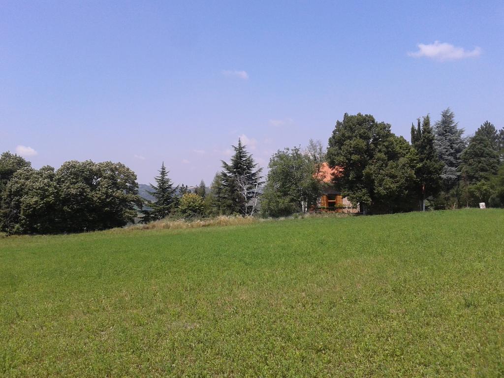 Lodging Vidmar Sremski Karlovci Rom bilde